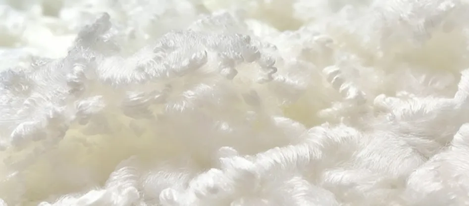 โพลีเอสเตอร์เป็นเส้นใยสังเคราะห์หรือไม่? (2)