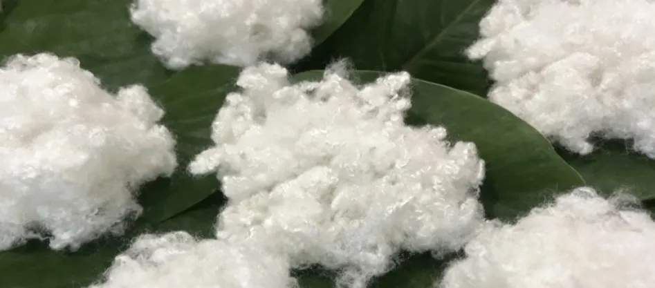 โพลีเอสเตอร์เป็นเส้นใยสังเคราะห์หรือไม่? สิ่งที่คุณต้องรู้